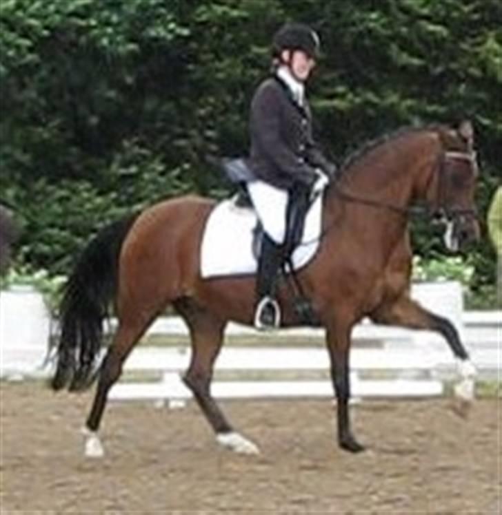 Anden særlig race Kathy<333 - Lykke & kathy! Lykke & Kathy i er de bedste! <333 billede 11