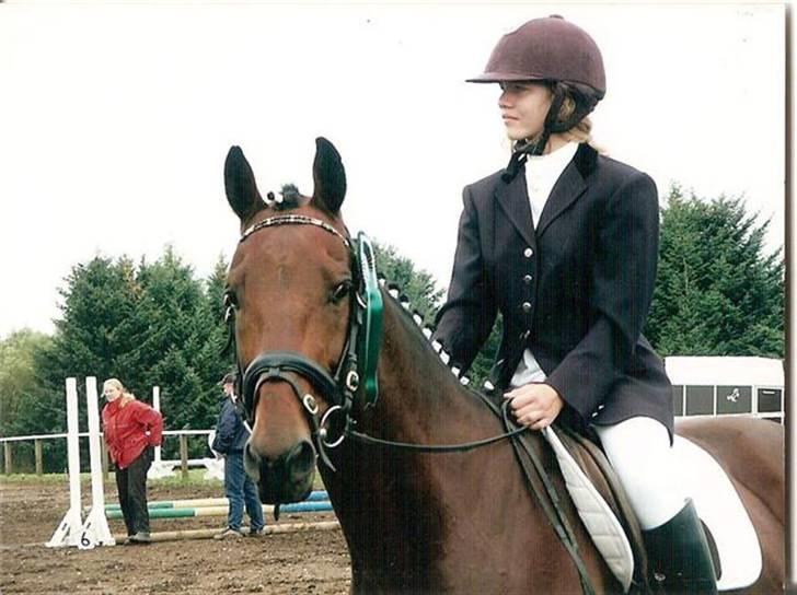 Hollandsk Varmblod Zorro - R.I.P 10/4 - 08 - Mig og Zorro, som lige havde vundet en 3. plads i beg. spring :) billede 19