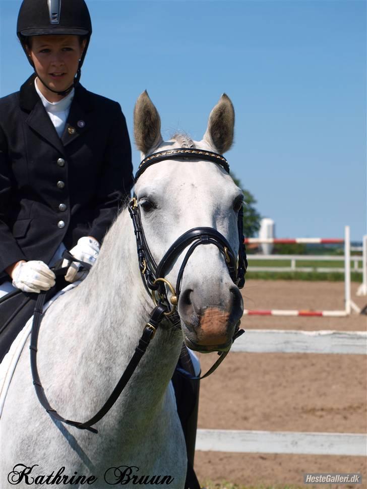 Anden særlig race Powergirl B-pony SOLGT - holder lige en pause (: billede 7