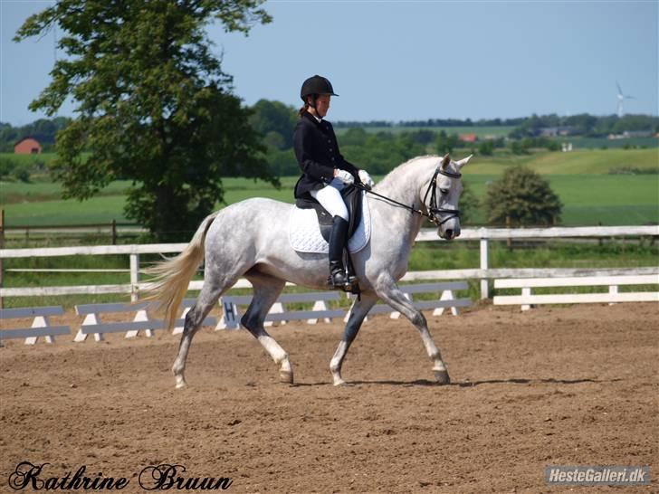 Anden særlig race Powergirl B-pony SOLGT - her er vi inde på banen, tak for billede det er godt taget ;d billede 10