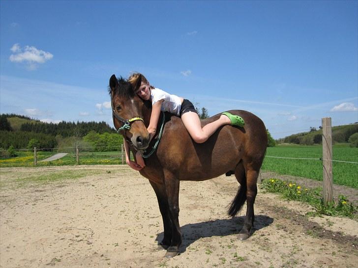 Anden særlig race Shadow billede 2