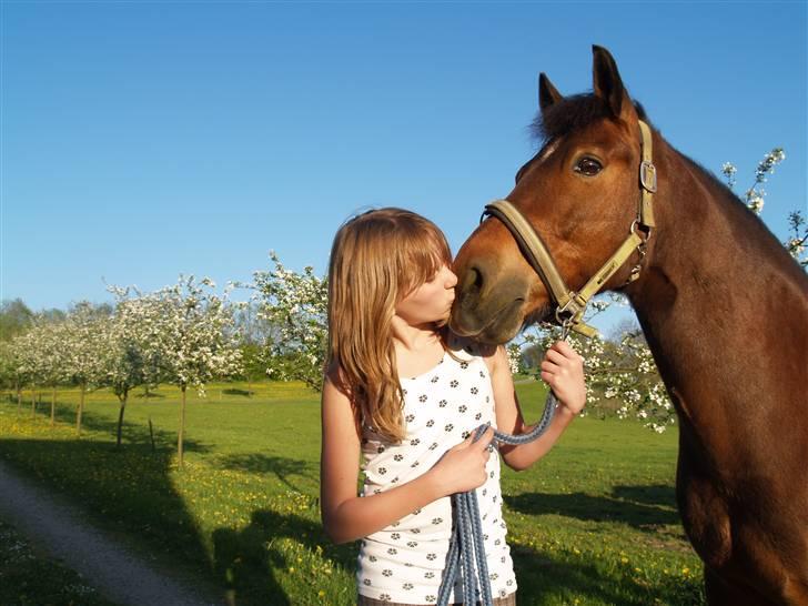 Anden særlig race Shadow billede 5