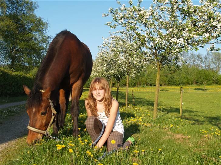 Anden særlig race Shadow billede 6