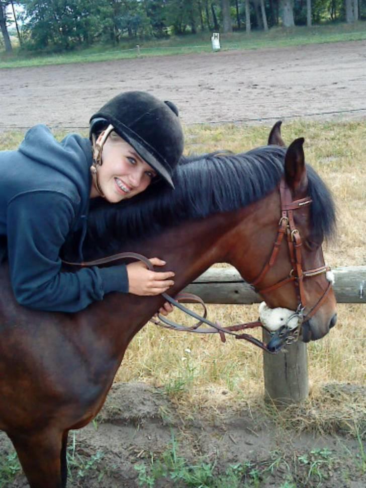 Hollandsk Sportspony - Topgun (har redet) - iloveyou <3 billede 20