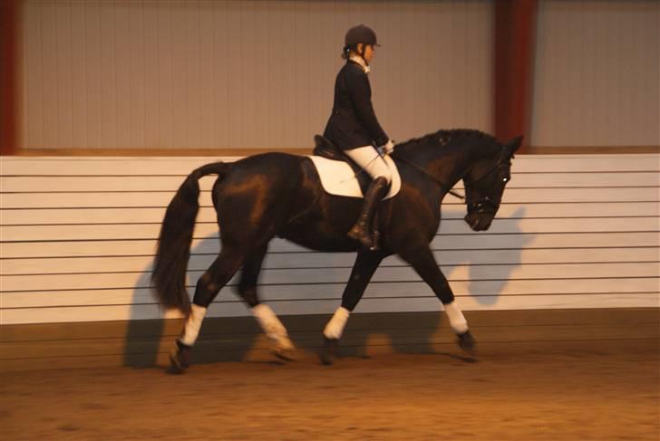 Oldenborg Carius Stengaard † - VAS 8/11 - 09 - Red til 68%:D - Foto Line billede 11