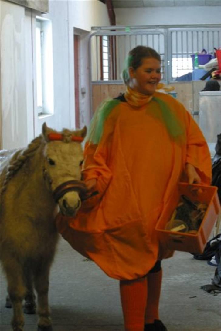 Shetlænder Snefnug - jeg er græskar og snefnug var en gulerød :P billede 7