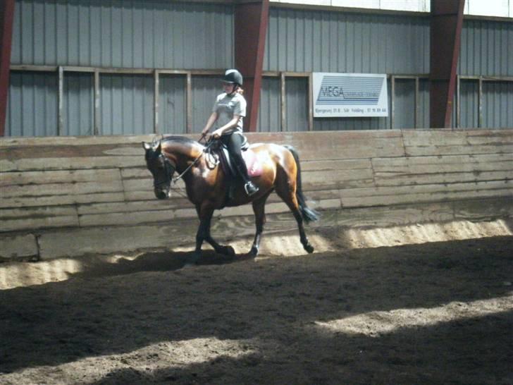 Anden særlig race Showtime PÅ PENSION. - Dressur til rytterlejr 2009 ;D foto: Tanja Karstensen ;D<3 billede 8