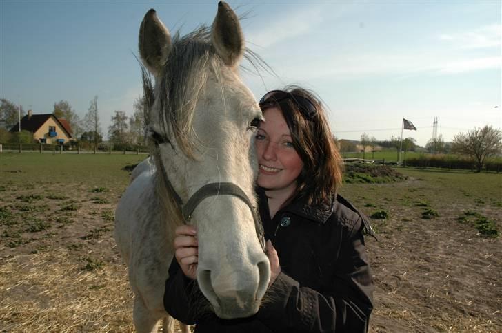 Arabisk fuldblod (OX) Bleas billede 3