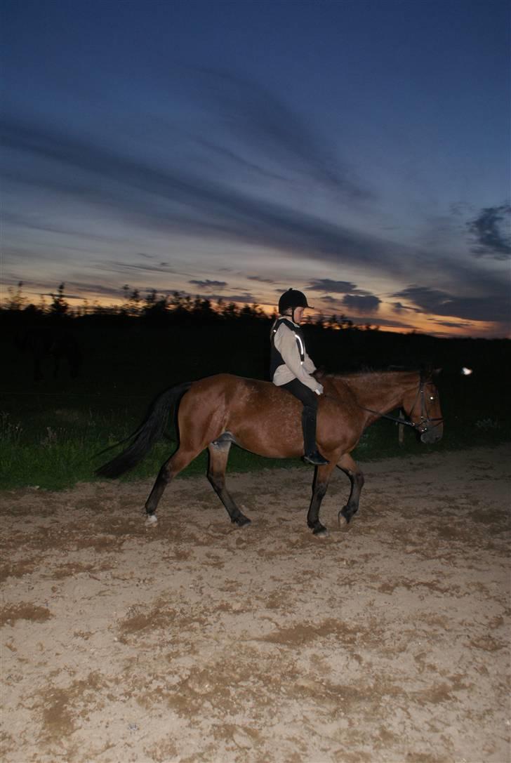 Anden særlig race Wanja<3  - Wanja så smuk du er ved solnedgangen..!  billede 12