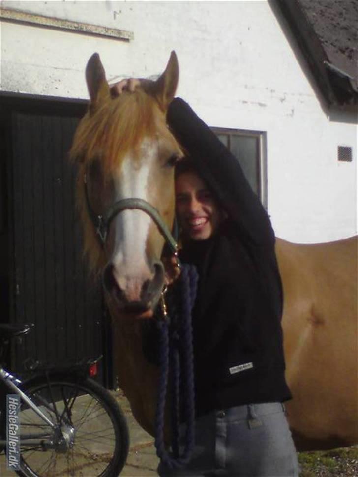 Anden særlig race Sally miin Prinsesse Y solgt billede 6