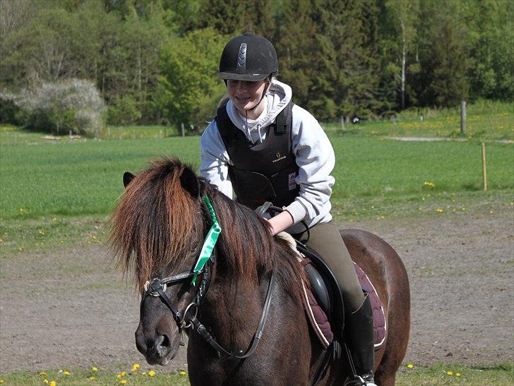 Islænder †  Laufi frá Hjalla  †  Min engel! - Luffe, du er det bedste der nogensinde er sket mig.. Jeg elsker dig højere end højest! (´:<3  Foto:Nanna Josiasen. billede 2