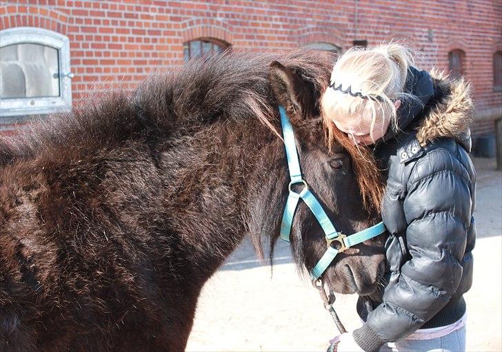 Islænder †  Laufi frá Hjalla  †  Min engel! - Baby, du er perfektion (´: Foto:Mor. billede 10