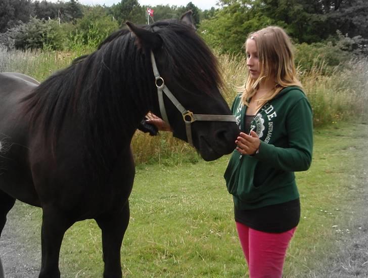 Fell pony Brackenbank Spencer - Mig og Spencer billede 9