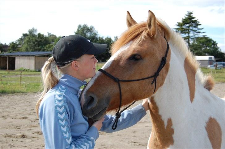 Anden særlig race Felix  - Så smuk <3 billede 1