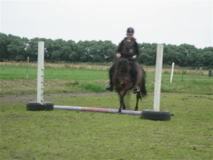 Anden særlig race Chamal - Og vi springer så stort og elegant over ????? Åhhhhh Jaah...... billede 13