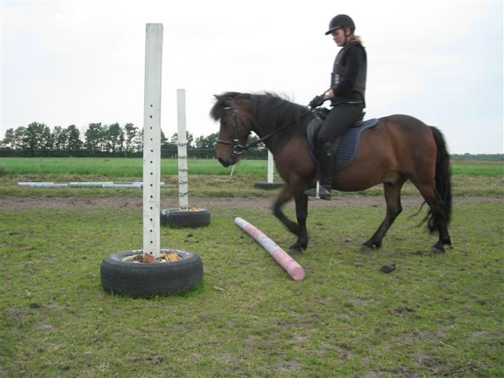 Anden særlig race Chamal - Jaaah..... Chamal, det er et spring. billede 14