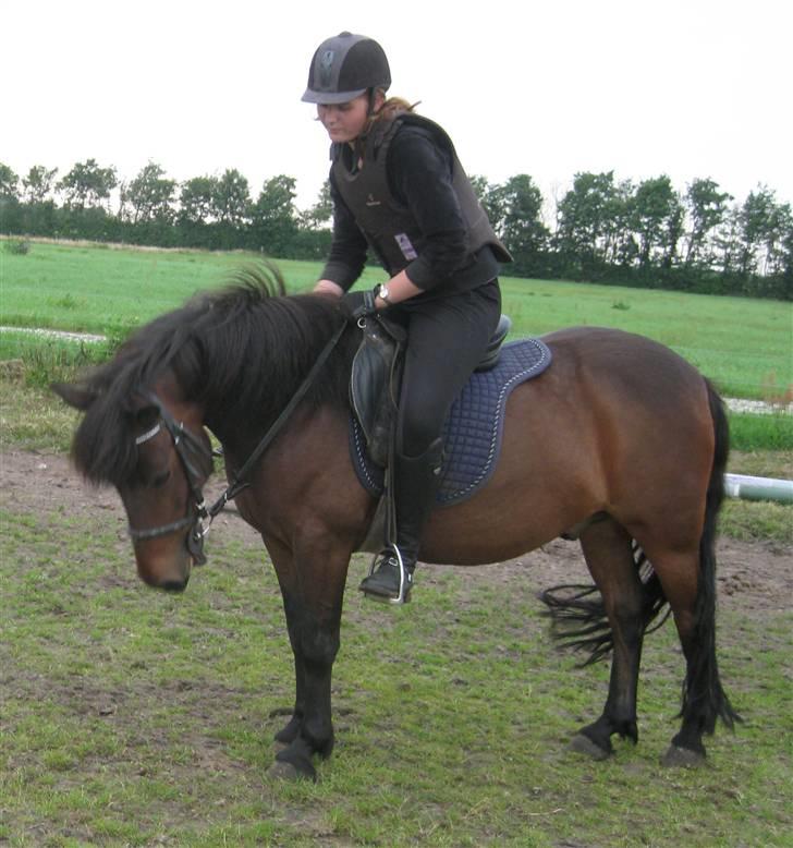 Anden særlig race Chamal - Endelig er timen over, så skal du da osse have et klap........;)  billede 16