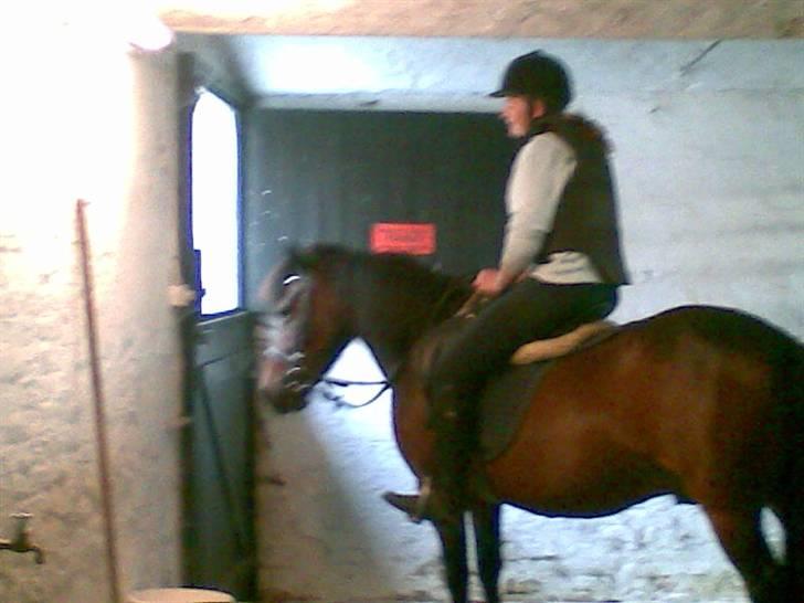 Anden særlig race Chamal - Undersøge verden indefra, er nu også spænende.......  billede 17