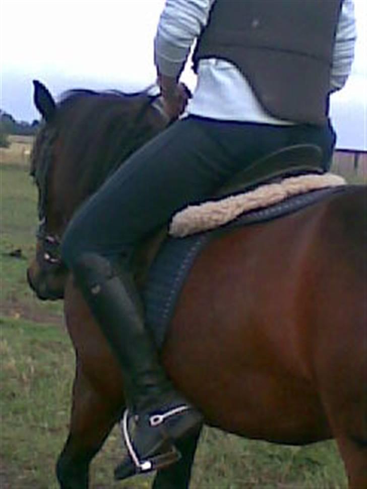 Anden særlig race Chamal - Jaah...... Hvad sker der lige for fotografen??????  billede 20