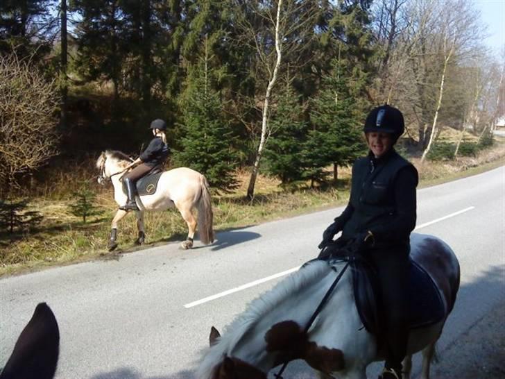 Anden særlig race Zenta  billede 4