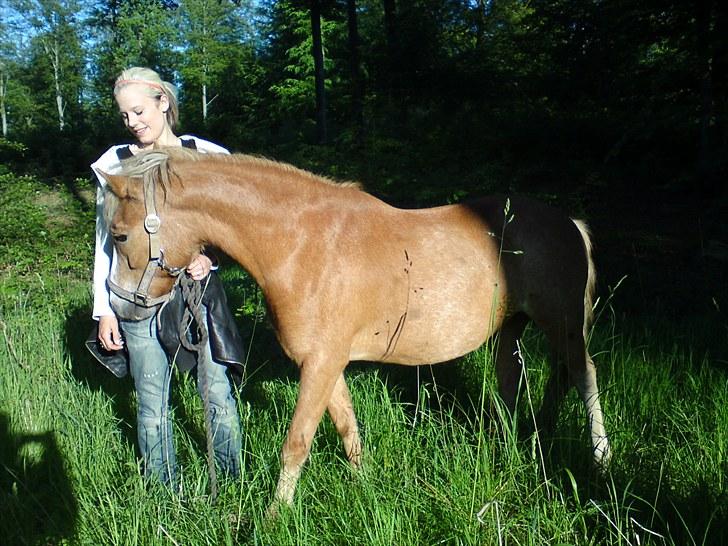 Dartmoor skovbrynets burat (split) solgt  billede 11