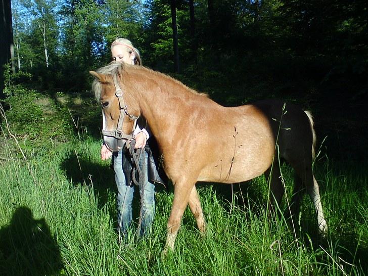 Dartmoor skovbrynets burat (split) solgt  billede 12