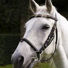 Connemara Silver Star