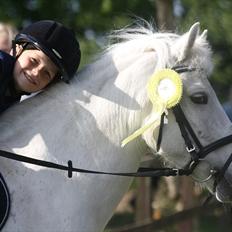 Anden særlig race Cindy (min lillebrors)