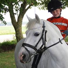 Anden særlig race Cindy (min lillebrors)