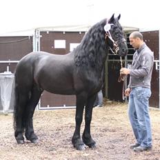 Frieser lou kars champion 2009