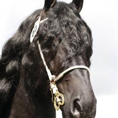 Frieser lou kars champion 2009