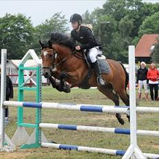 Anden særlig race Linus SOLGT :'(