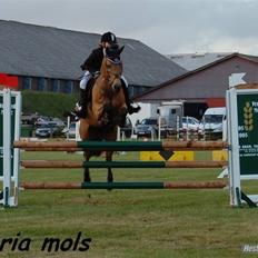 Anden særlig race Stjerne