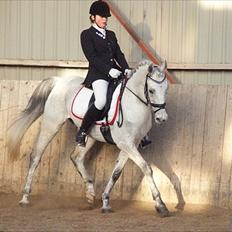 Anden særlig race Kashmir B - pony - solgt