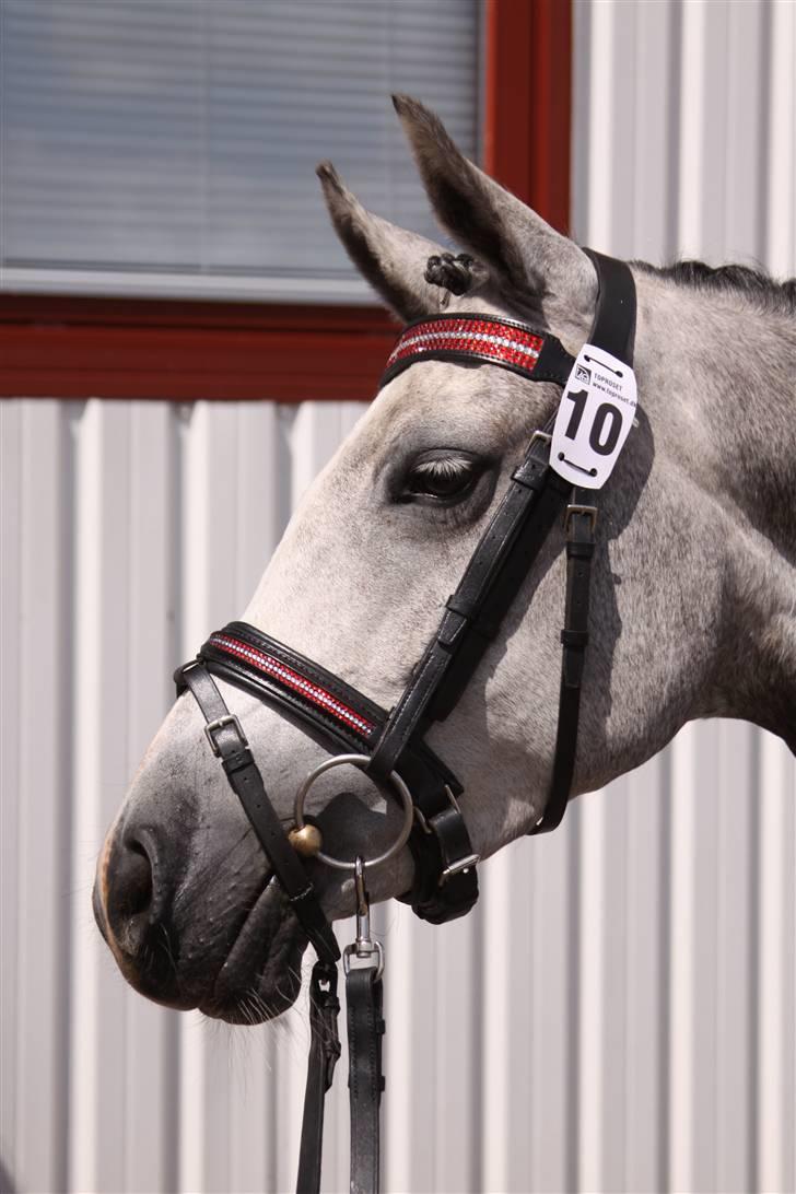 DSP Fun Time *SOLGT* billede 16