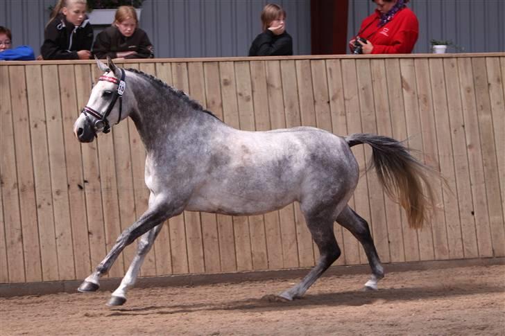 DSP Fun Time *SOLGT* billede 18