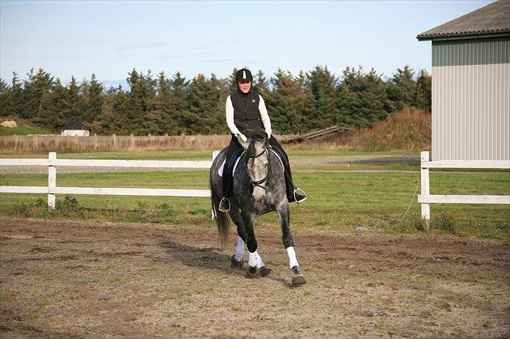 Anden særlig race Al Capone ( Dino) - Træning sommer 2010 billede 16