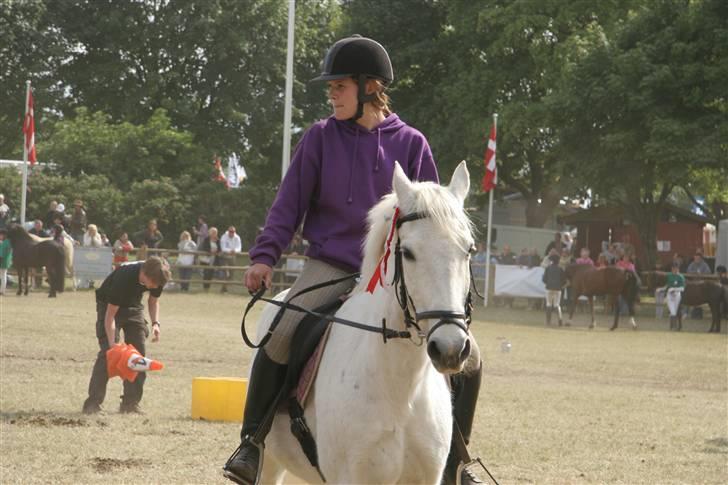 Connemara Silver Star - Da Silver og hans gamle part vandt mountain games for hold på Roskilde dyrskue ´09 billede 5