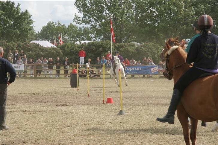 Connemara Silver Star - Silver og Michelle giver den gas i den store ring på Roskilde Dyrskue ´09 billede 6