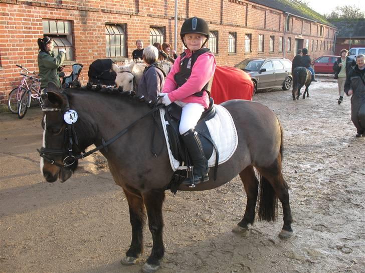 Anden særlig race LADY - Caroline og Lady til deres 1. stævne hvor de vandt en 1. plads. billede 1