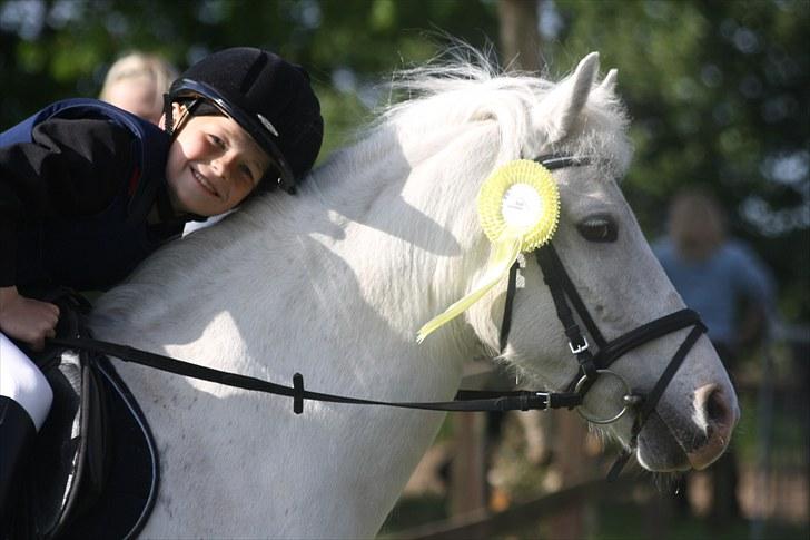 Anden særlig race Cindy (min lillebrors) billede 1