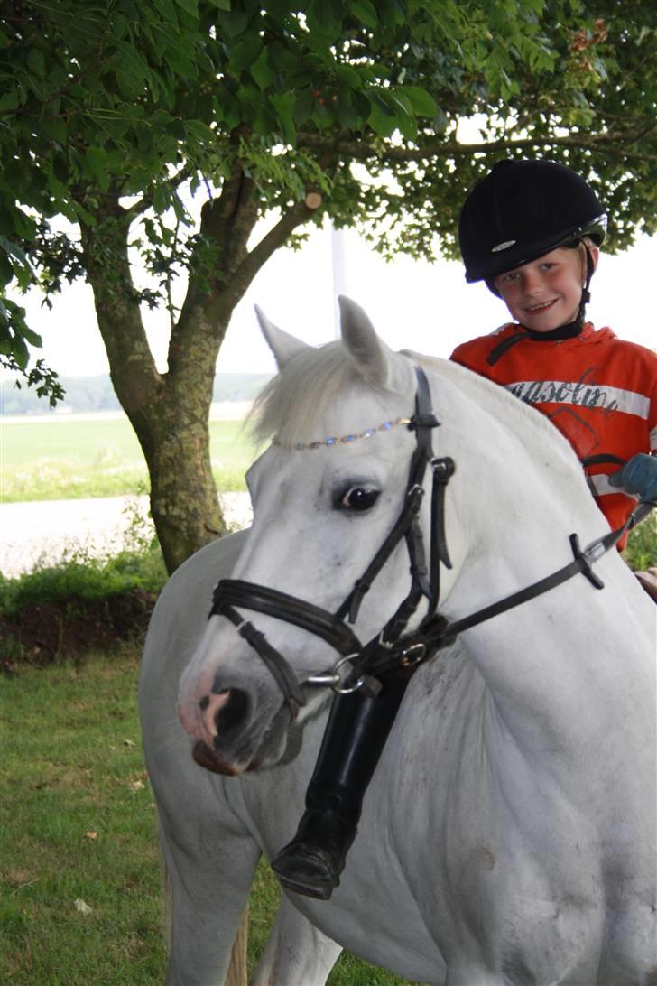 Anden særlig race Cindy (min lillebrors) billede 2
