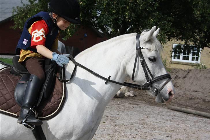 Anden særlig race Cindy (min lillebrors) billede 3