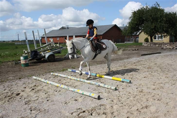 Anden særlig race Cindy (min lillebrors) billede 4