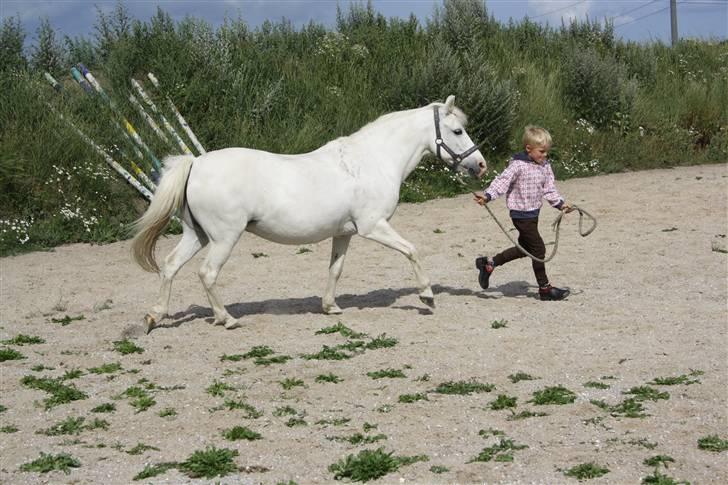 Anden særlig race Cindy (min lillebrors) billede 5