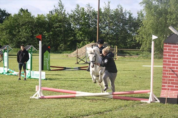 Anden særlig race Cindy (min lillebrors) billede 6