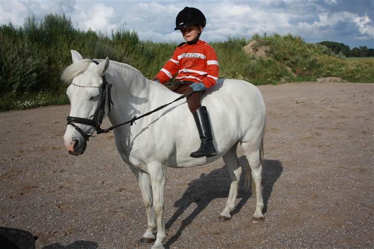 Anden særlig race Cindy (min lillebrors) billede 8