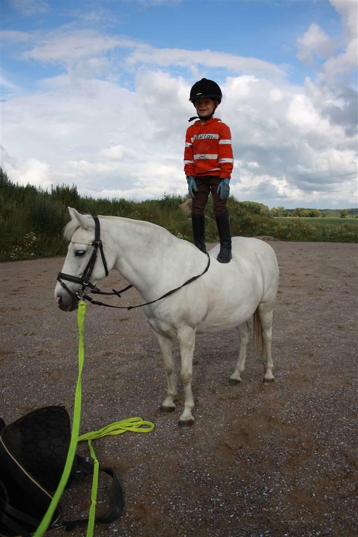 Anden særlig race Cindy (min lillebrors) billede 9