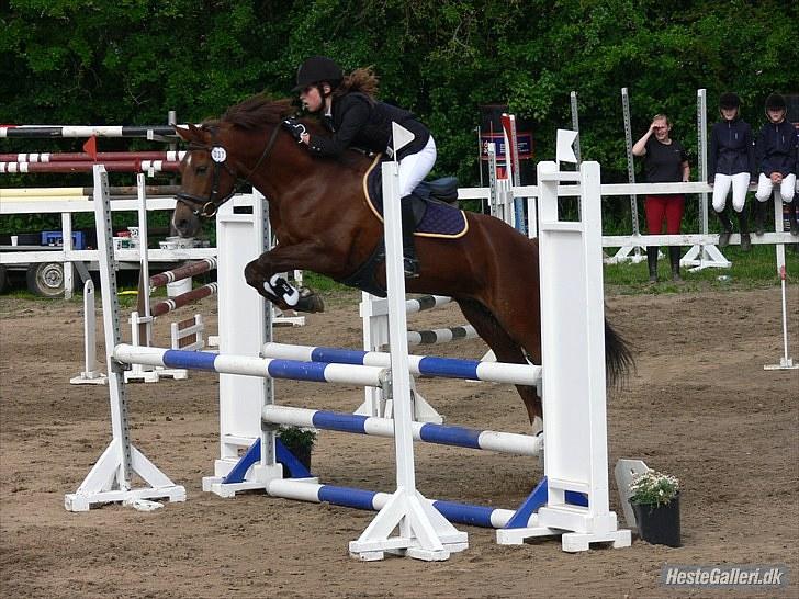 DSP Cirkeline - Velkommen til Cirkelines profil (:  - taget af camilla schierff billede 2