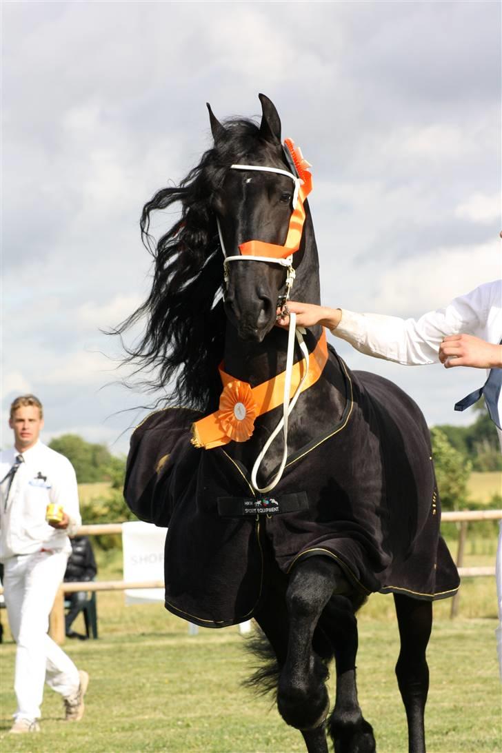 Frieser lou kars champion 2009 - champion kåring øst 2009 billede 1